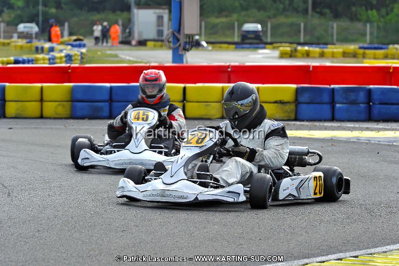 DSC_ (1226).jpg